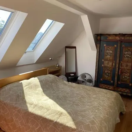 Dachwohnung Im Villenviertel *