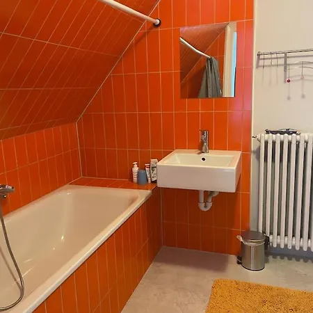 Dachwohnung Im Villenviertel Bregenz