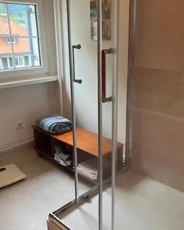 Dachwohnung Im Villenviertel Bregenz